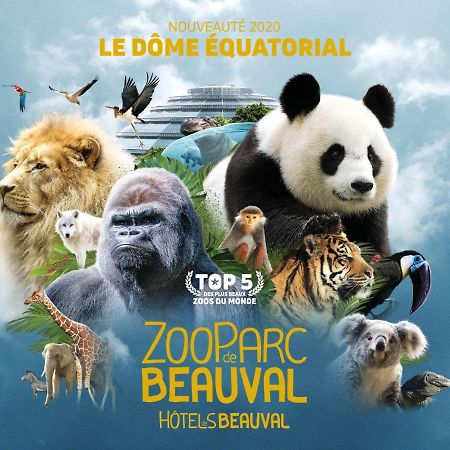 Le Chant Des Oiseaux, 3Km Du Zoo De Beauval, Parking Gratuit ,Wifi Et Netflix Gratuits Saint-Aignan  Exteriér fotografie