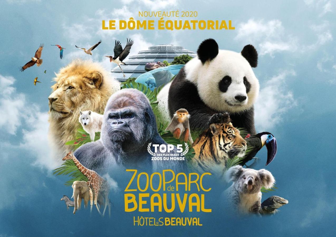 Le Chant Des Oiseaux, 3Km Du Zoo De Beauval, Parking Gratuit ,Wifi Et Netflix Gratuits Saint-Aignan  Exteriér fotografie
